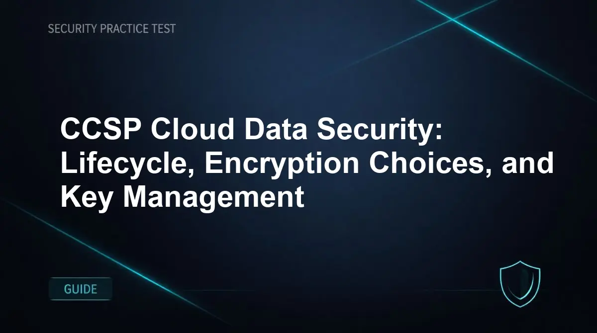 CCSP Cloud Data Security: Lifecycle, Encryption Choices, and Key Management